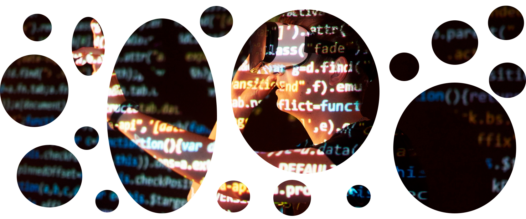 Sviluppo software Sviluppo software